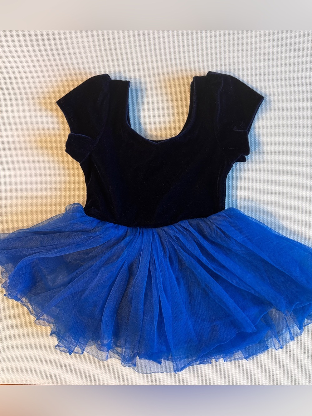 Miss Princess Girls Velvet Tulle Tutu Dress Costume Leotard Blue Size 3